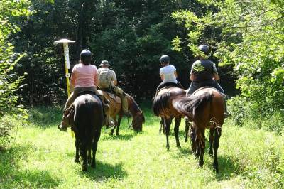 Výlety a jazdy na koňoch, Chata Tajomné Karpaty, Vladiča