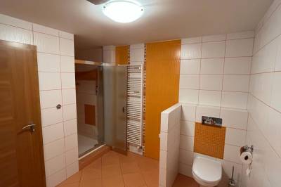 Kúpeľňa so sprchovacím kútom a toaletou, Apartmán 424, Donovaly