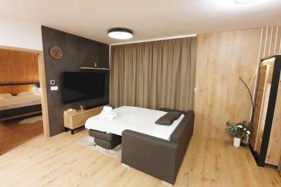Obývačka s rozkladacou pohovkou a LCD TV, Apartmán Y32 Hillside, Dolný Kubín