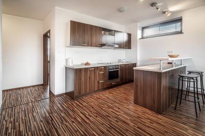 Plne vybavená kuchyňa s jedálenským sedením, Family apartment 201 - Vila Aston, Veľká Lomnica