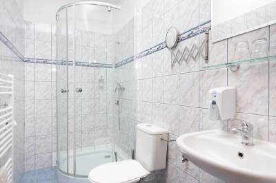 Dvojlôžková izba štandard - kúpeľňa so sprchovacím kútom a toaletou, Penzión Larion, Kráľova Lehota