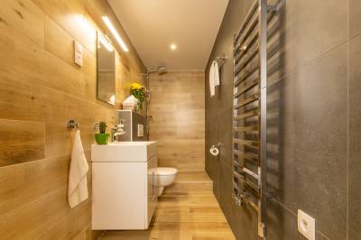 Dvojlôžková izba s balkónom - kúpeľňa so sprchovacím kútom a toaletou, Villa Gloria, Donovaly