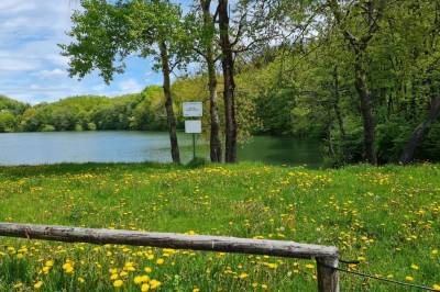 Okolitá príroda, Villa Paradajs pri Richňavských jazerách, Štiavnické Bane