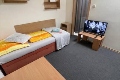 Jednolôžková izba s 1-lôžkovou posteľou a LCD TV, Nice loft - Prešov, Ľubotice