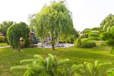 Rozsiahla a tichá záhrada ako stvorená pre relax, Vila Valča, Valča