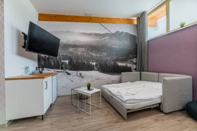 4-lôžkový apartmán s rozkladacou pohovkou a TV, Meander Thermal a Ski Rezort Oravice, Vitanová