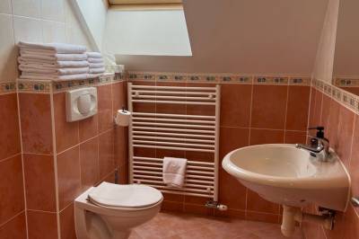 Rodinná izba – kúpeľňa so sprchovacím kútom a toaletou, Vila Tatra, Stará Lesná