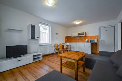 Obývačka s gaučom a TV prepojená s kuchyňou, Apartmány Relax Jasná, Liptovský Mikuláš