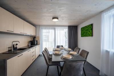 Apartmán 3 - plne vybavená kuchyňa s jedálenským sedením, Chalet Malino, Ružomberok