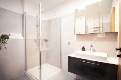 Apartmán s 1 spálňou – kúpeľňa so sprchovacím kútom a toaletou, Apartmány 316 a 317 Vila Zuberec, Zuberec