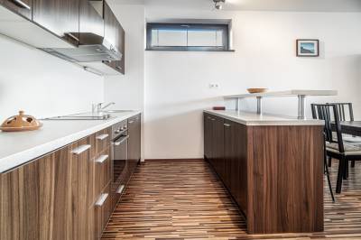 Plne vybavená kuchyňa, Family apartment 201 - Vila Aston, Veľká Lomnica