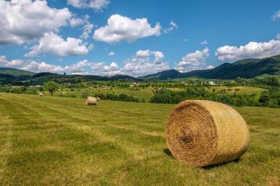 U Lohajov - okolie, Kutica u Lohajov, Nová Baňa