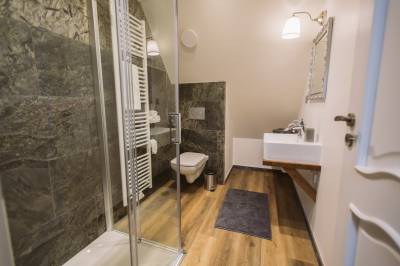 Kúpeľňa so sprchovacím kútom a toaletou, GREINER Boutique Mountain Chalet, Ždiar