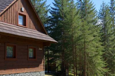 Exteriér ubytovania v Jarabá / Mýto pod Ďumbierom, Jariabka Chalet Zrub Nízke Tatry- terasa, gril, priestor na hry, zeleny les Vás naplnia energiou, Jarabá
