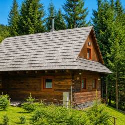 Jariabka Chalet Zrub Nízke Tatry- terasa, gril, priestor na hry, zeleny les Vás naplnia energiou