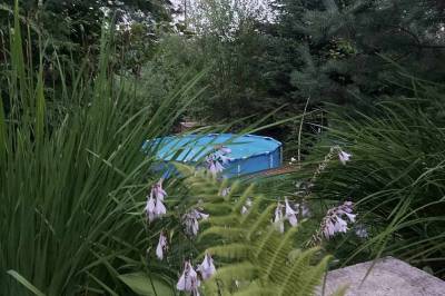 Bazén v exteriéri ubytovania, Zelená Chata, Trstená