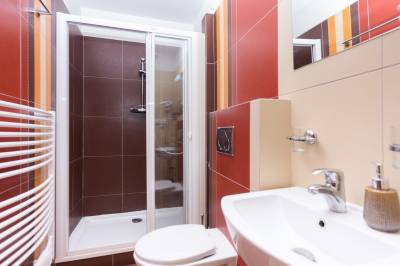 Apartmán 207 - kúpeľňa so sprchovacím kútom a toaletou, Penzión Larion, Kráľova Lehota