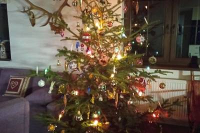 Vianočná atmosféra v ubytovaní, Chata Flora, Oravská Lesná