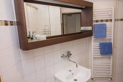 Zelený apartmánový dom – dvojlôžková izba s prístelkou – kúpeľňa s toaletou, Penzión Rojas, Mýto pod Ďumbierom