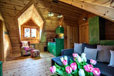 Zelený apartmán - obývačka s kuchynkou, Villa Buky, Vysoké Tatry