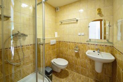 Kúpeľňa so sprchovacím kútom a toaletou, Villa Danielov Dom, Vysoké Tatry