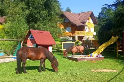 Exteriér ubytovania s farmou a detským ihriskom v obci Jezersko, Chata Smrek a zvieracia mini farma, Jezersko