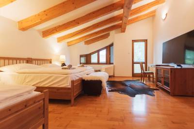 Spálňa s manželskou a 1-lôžkovou posteľou a TV, Alpinum Chalet Hight Tatras, Nová Lesná