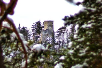 Chata pri Kaštieli Longevity Nature Retreat, Necpaly