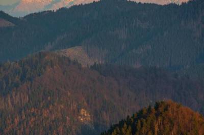 Chata pri Kaštieli Longevity Nature Retreat, Necpaly