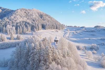 Chata pri Kaštieli Longevity Nature Retreat, Necpaly