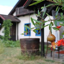 Chalúpka • The Cottage