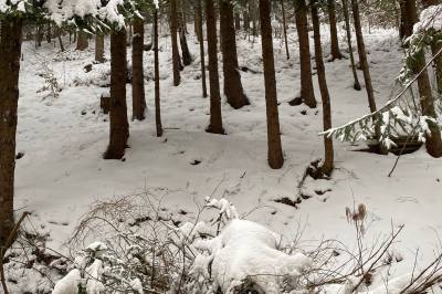 Chata Teodora, Terchová