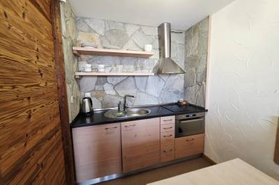 Vybavený kuchyňa, Apartmán TRAVEL - Hotel Kukučka, Vysoké Tatry