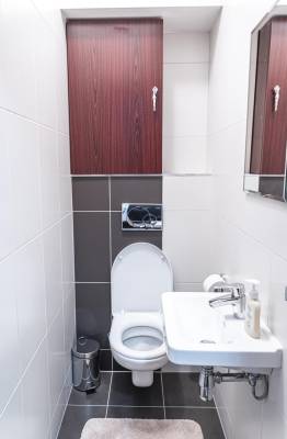 Samostatná toaleta, AC Apartment High Tatras View - Veľká Lomnica, Veľká Lomnica