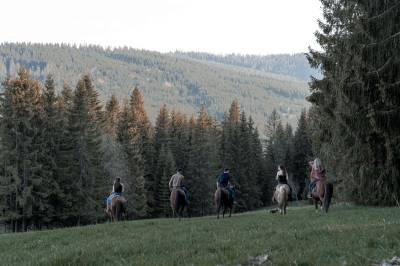 Možnosť prechádzky na koňoch, Domček na ranči, Novoť