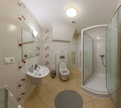 Apartmán s 1 miestnosťou - kúpeľňa so sprchovacím kútom a toaletou, Apartmánový dom Fatrapark s privátnym wellness, Ružomberok
