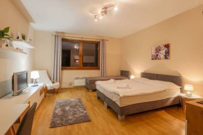 Apartmán s 1 miestnosťou - manželská posteľ s TV, Apartmánový dom Fatrapark s privátnym wellness, Ružomberok