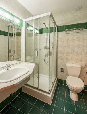 Double room standard - kúpeľňa so sprchovacím kútom a toaletou, Šport Hotel*** Donovaly, Donovaly