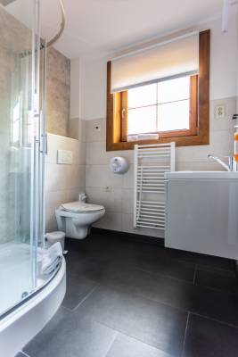 Apartmán Premium - kúpeľňa so sprchovacím kútom a toaletou, Drevenice Terchová Resort - apartmány a izby, Terchová