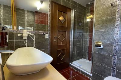 Apartmán Executive - kúpeľňa so sprchovacím kútom a toaletou, Drevenice Terchová Resort - apartmány a izby, Terchová