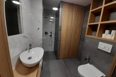 Izba s manželskou posteľou - kúpeľňa so sprchovacím kútom a toaletou, Entrez Apartments 4 - City centre, Košice