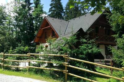 Okolie ubytovania pri lese, Chata Alpina, Ružomberok