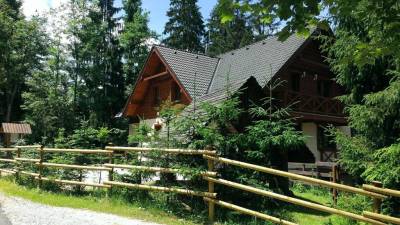 Okolie ubytovania pri lese, Chata Alpina, Ružomberok
