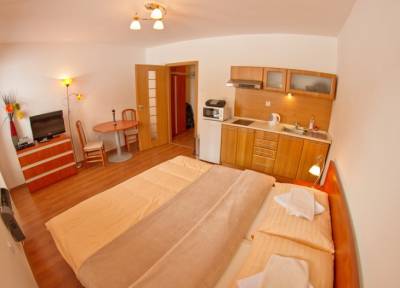 Štúdio pre 2-3 osoby - manželská posteľ, kuchynka s jedálenským sedením a LCD TV, Holiday Resort Telgárt, Telgárt