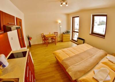 Štúdio pre 2-3 osoby - manželská posteľ, kuchynka s jedálenským sedením, Holiday Resort Telgárt, Telgárt