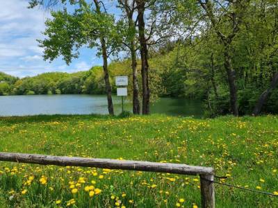 Okolitá príroda, Villa Paradajs pri Richňavských jazerách, Štiavnické Bane