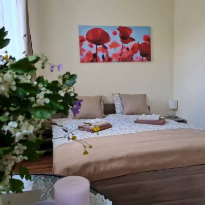 Izba č. 6 - spálňa s manželskou posteľou, Villa Paradajs pri Richňavských jazerách, Štiavnické Bane