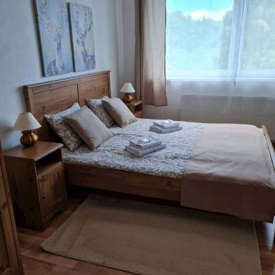 Apartmán č. 2 - spálňa s manželskou posteľou, Villa Paradajs pri Richňavských jazerách, Štiavnické Bane
