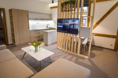 Apartmán 16 - obývačka s rozkladacím gaučom a LCD TV s Netflixom prepojená s kuchyňou, Vila Kollár, Vysoké Tatry