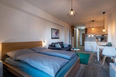Apartmán s 1 spálňou - izba s manželskou posteľou a pohovkou prepojená s kuchyňou, Apartmány Abies****, Vysoké Tatry